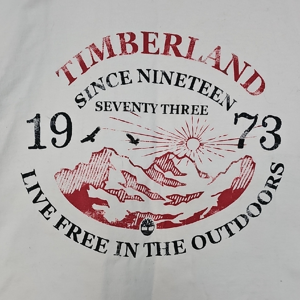 Timberland Earthkeepers Faded Logo Short Sleeve Graphic Tee, Medium - Picture 2 of 4